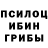 Галлюциногенные грибы ЛСД Marcus ryan