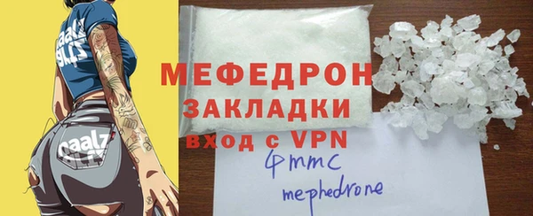 индика Надым