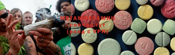 индика Надым