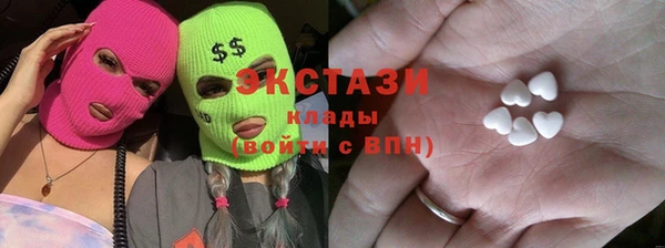 индика Надым