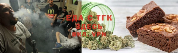 индика Надым
