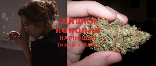 индика Надым
