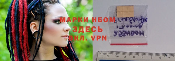 индика Надым
