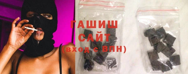 индика Надым