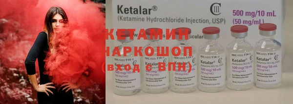 индика Надым
