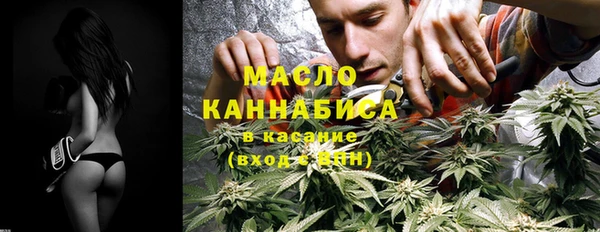 индика Надым