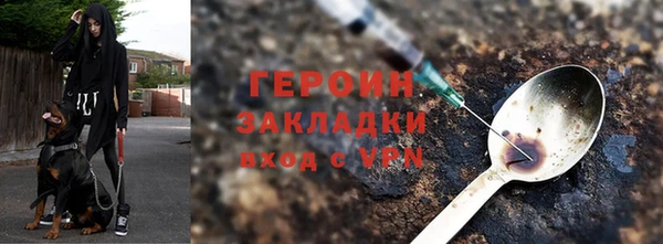 индика Надым
