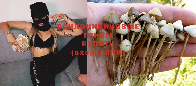 kraken вход  Артёмовский  Галлюциногенные грибы Psilocybine cubensis  цена наркотик 